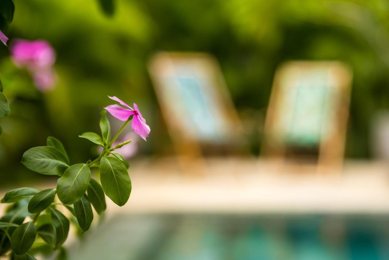Zen Garden Tamarindo - Adults Only Hotel Exterior foto